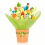 לב שכולו טוב - 25 שיפודי גומי בכלי צבעוני