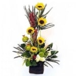 סידור פרחים אביבי בכלי